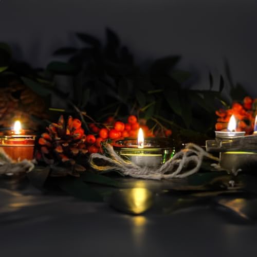 WGV Sturdy Tea Light Votive Candle Holder 3" W, Clear Heavy Thick Chubby Plate Bowl Glass, Small Accent Decor, 24 Pieces by WGVInternational-OpusGlassware