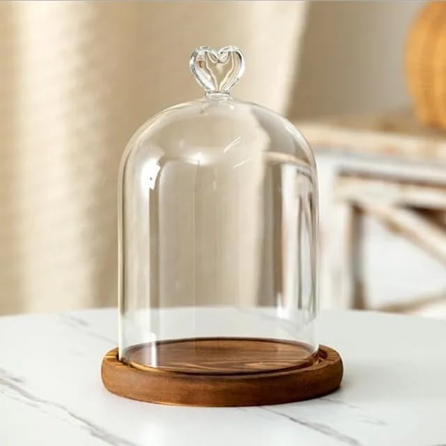 12 * 16cm Big Size Antique Base Different Top Glass Dome Vase Home Decoration Transparent Candle Cover Wedding Friend Favor Gift (1set Heart Dome Base) by BDMYFNSENERETY