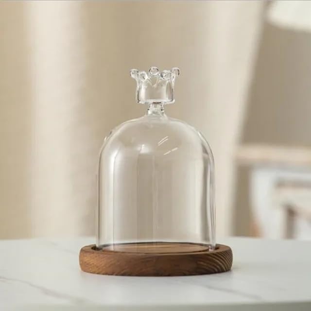 12 * 16cm Big Size Antique Base Different Top Glass Dome Vase Home Decoration Transparent Candle Cover Wedding Friend Favor Gift (1set Flower domebase) by BDMYFNSENERETY