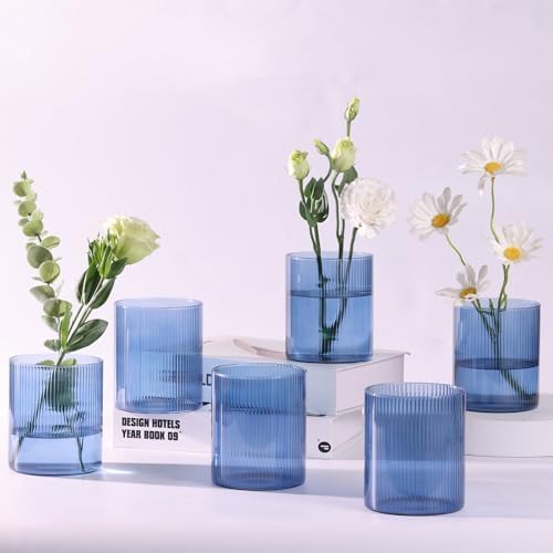 Glass Ribbed Cylinder Vase Set of 6,Bud Vase for Wedding Centerpieces,Clear Ribbed Glass Flower Vases Bulk,Hurricane Floating Candle Holder 4 Inch,Decorative Vases for Home Decor(Blue) by TripodBird