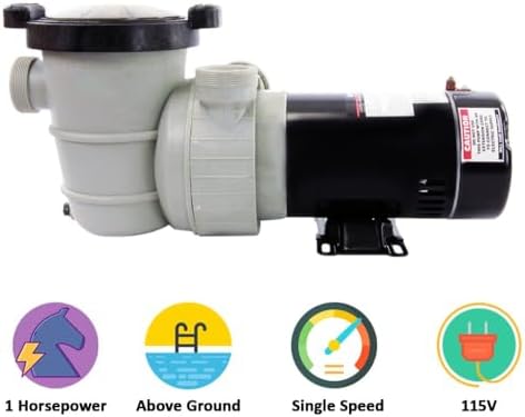 Rx Clear Dorado 1 HP Dual Port Pump | Above-Ground Swimming Pool Pump | 115V 7.3 Amps | See-Through Strainer Cover | Energy Efficient | Low Maintenance