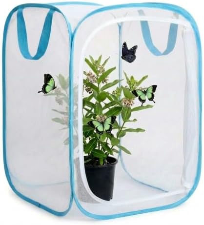 Insect & Butterfly Habitat Cage, Portable Pop-Up Terrarium with Mesh Sides, Bug Catching & Observation Enclosure for Caterpillars, Small Insects, Outdoor & Classroom Use, 16 Inches Tall by Unknown