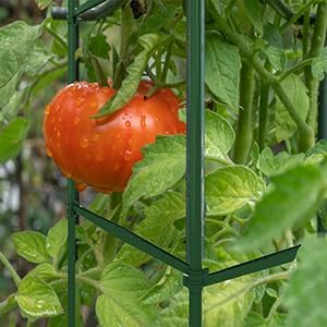 60PCS Plant Stake Arms for Tomato Cage，Expandable 11.8" Plant Supports Trellis Connector Clips for 11mm Garden Plants Stakes Stand Outdoor/Indoor