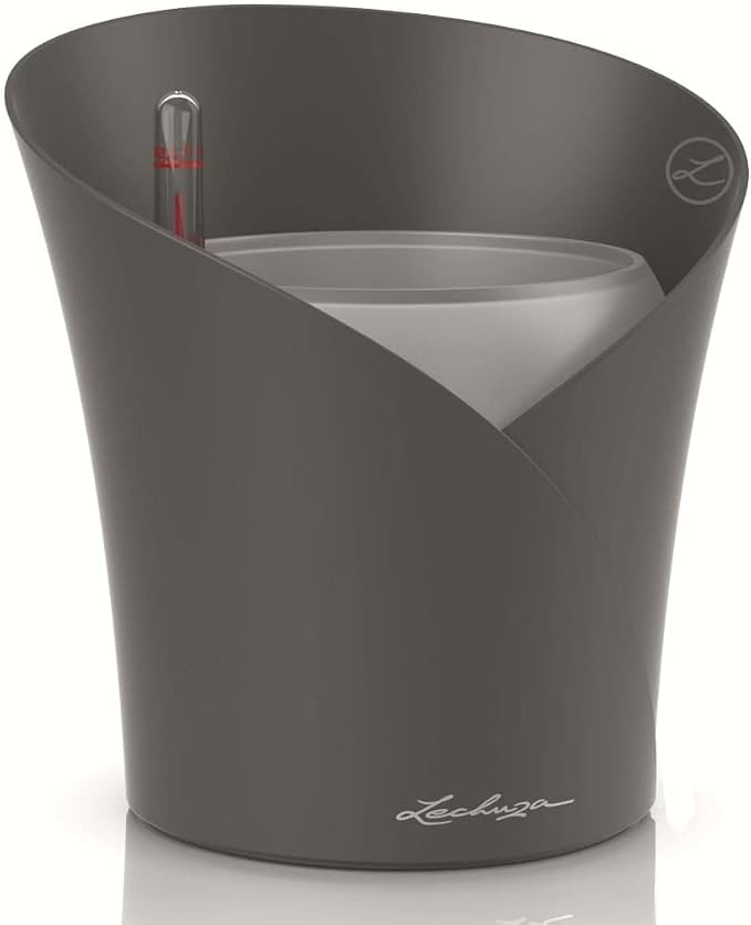 Lechuza 13961 ORCHIDEA Self-Watering Planter for Indoor and Outdoor Use, 7.2" x 7" x 7.7", Slate Matte