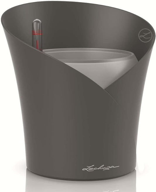 Lechuza 13961 ORCHIDEA Self-Watering Planter for Indoor and Outdoor Use, 7.2" x 7" x 7.7", Slate Matte