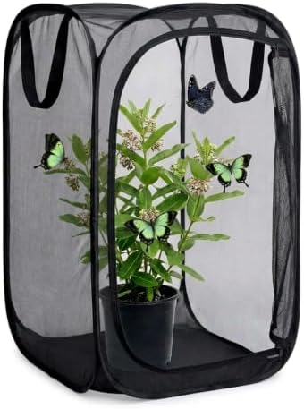 Insect & Butterfly Habitat Cage, Portable Pop-Up Terrarium with Mesh Sides, Bug Catching & Observation Enclosure for Caterpillars, Small Insects, Outdoor & Classroom Use, 24 Inches Tall by Unknown