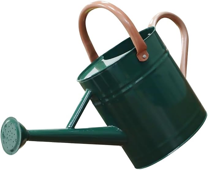 Metal Watering Can with Removable Spout, 1 Gallon Watering Cans Stainless Steel Handhold for Outdoor Indoor Garden Plants Watering (Green)