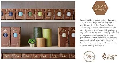 Root Candles Unscented Pillar Candles Beeswax Enhanced Textured Timberline™ Pillar Candle, 3 x 9-Inch, Willow - Image 5