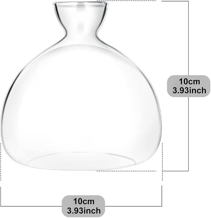 Acorn sprouting Seed Starter Planter Vase Terrariums Pot Acorn Tree Growing Kit Deco Glass Bulb Propagation Vases Grow Acorn Trees at Home Acorn Tree Growing Kit Unusual Gardening Gifts for Her Him