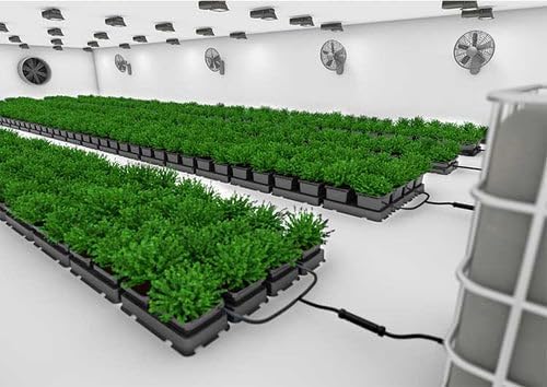 AutoPot Easy2Grow Systems, 2-100 Pots (3.9gal, 2 Pot With Reservoir)