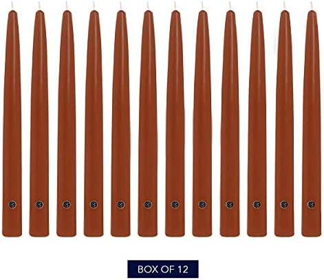 Colonial Candle Unscented Taper Candle, Handipt Collection, Amber, 12 in, Pack of 12 - Up to 10 Hours Burn - Image 2