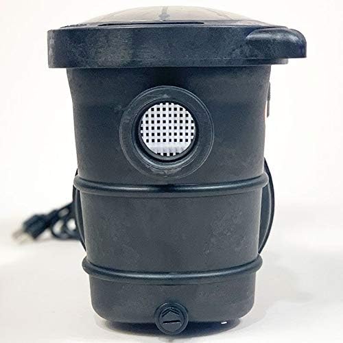Doheny's 3/4 HP Above Ground Swimming Pool Pump | 0.55 THP, Stainless Steel Shaft, Reinforced Thermoplastic, Low-Noise, High-Efficiency