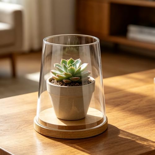 6" Wide Glass Hurricane Candle Holders with Handmade Sturdy Glass Sleeves and Natural Wood Base for Pillar Candle & Plants, Industrial, Farmhouse, Display Cloche Bell Jars, Table Centerpiece - Image 6