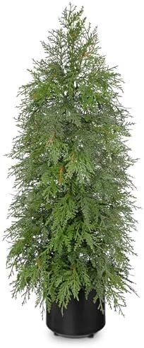 3FT Artificial Cedar Topiary Tree, Real Touch Fake Cedar Topiary Tree Potted Plants for Home Office Front Porch Garden Entryway Indoor Outdoor Evergreen Decor by NatureCrafted