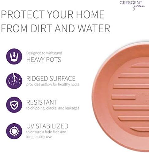 Crescent Garden Universal Round Planter Saucer, Durable Drainage Dish for Plant Pots, Heavy-Duty Plant Dishes Saucer, Indoor & Outdoor Plant Trays - Terracotta-Color (8.5 inch Inner, 11 inch Outer)
