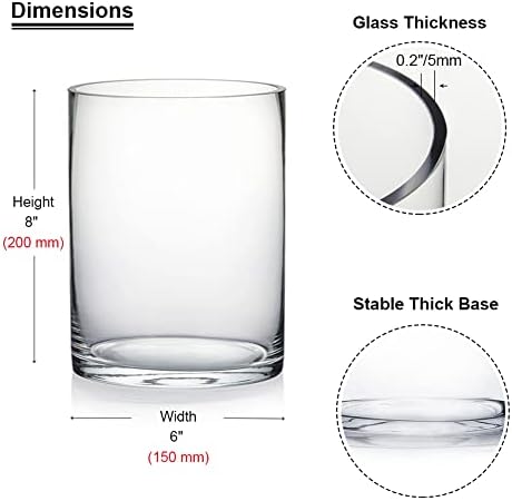 Enova Floral Clear Glass Cylinder Vase 6 x 8 Inches, Clear Flower Vases, Pillar Candle Hurricane Floating Candle Holder Vase, Glass Flower Vase for Wedding Centerpieces, Home Office décor (1 Piece) - Image 2