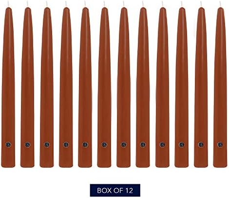 Colonial Candle Unscented Taper Candle, Handipt Collection, Amber, 10 in, Pack of 12 - Up to 8 Hours Burn - Image 2