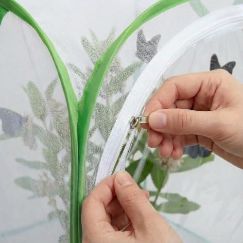 Insect & Butterfly Habitat Cage, Portable Pop-Up Terrarium with Mesh Sides, Bug Catching & Observation Enclosure for Caterpillars, Small Insects, Outdoor & Classroom Use, 24 Inches Tall - Image 4