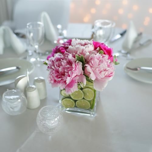 WGV 3 Inch Clear Square Cube Glass Votive Candle Holder Vase Bulk, Small Tiny Mercury Tea Light Terrarium Décor 3x3”, 24 Pieces by WGVInternational-OpusGlassware