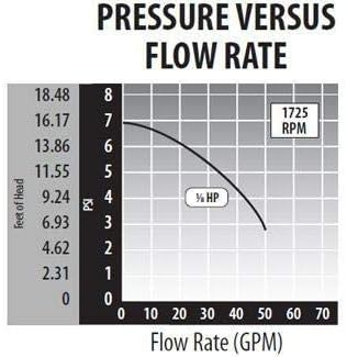 Waterway Plastics 3410030-1E Pump, 115-volt