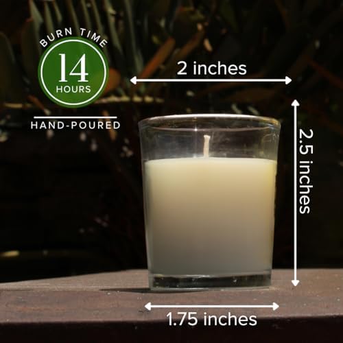 Simply Soson Peppermint Votive Candle Set of 24 Bulk White Scented - Image 2