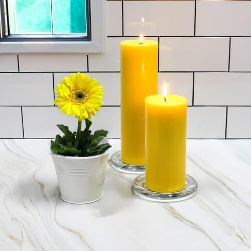 WGV Tea Light Votive Candle Holder Plate 4" W, Clear Flat Plate Glass, Small Home Accent Decor, 6 Pc by WGVInternational-OpusGlassware
