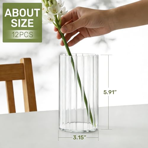 12pcs Stripe Glass Cylinder Vases for Centerpieces, 6 Inch Tall Flower Vase for Wedding Decorations, Hurricane Vases Floating Candle Holder for Table Centerpiece Wedding Home Décor - Image 3