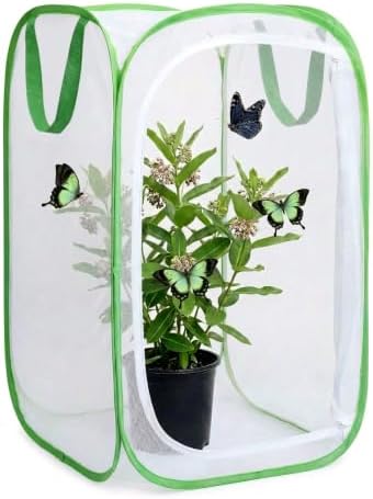 Insect & Butterfly Habitat Cage, Portable Pop-Up Terrarium with Mesh Sides, Bug Catching & Observation Enclosure for Caterpillars, Small Insects, Outdoor & Classroom Use, 24 Inches Tall by Unknown
