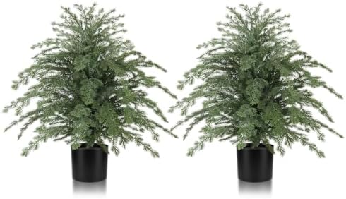 2 Pack 2FT Artificial Norfolk Pine Potted Trees, Christmas Decor by LivingGreenEveryDayShine