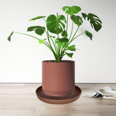 Yukfona Ceramic Plant Saucer Tray 2 Pcs 6.4 Inch Brown, 6.4" OD x6.02 ID x0.9 Deep| Fits flower pots Bottom≤ 6.02", Heavy Duty Glazed Round Planter Drip with Catch Basin for Indoor Outdoor Plants