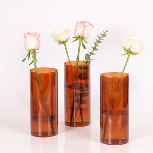 Amber Cylinder Vases, 8 Inch Tall, Amber Ribbed by TripodBird