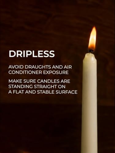 CANDWAX Candle Set of 12 Ivory Taper Candles 8 inch - Dripless and Ideal for Wedding Use - Long Burning and Unscented Candlesticks - Ivory Candles - Image 3