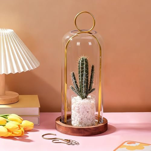 16" High Versatile Vintage Brass Metal Candle Holder with Handmade Sturdy Glass Dome and Natural Wooden Base for Pillar Candle & Plants, Industrial, Farmhouse, Shabby Chic, Display Cloche Bell Jars - Image 4