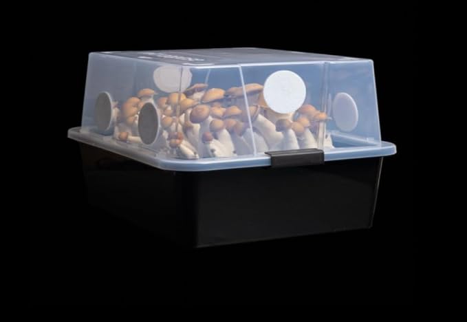 Mushroom Monotub Large 66Q Grow Kit | Complete Mushroom Grow Kit | for Dung-Loving Mushrooms | Includes 2 sterilized Grain Spawn Bags, Bulk Substrate, Vermiculite, Filters & More! Just add Spores