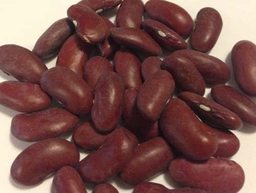 Bean Dark Red Kidney Great Heirloom Garden Vegetable By Seed Kingdom BULK 5 Lb Seeds
