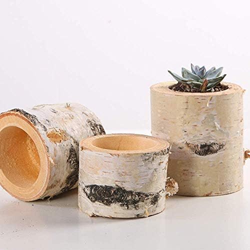 Christmas Birch Tealight Holder Real Birch Log Candle Holders Wooden Tealight Candleholder Succulent Plant Holder for Home Party Fireplace Decoration (Pack of 4 Same Height 2.36"x2.36") - Image 3