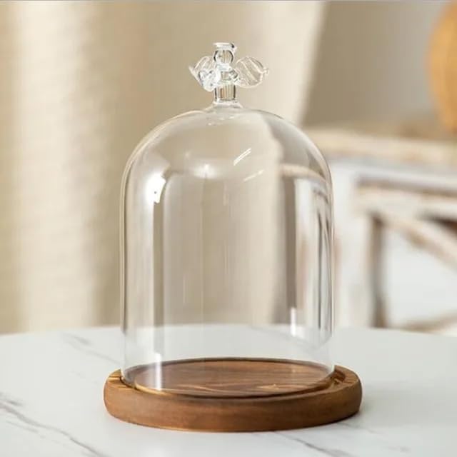 12 * 16cm Big Size Antique Base Different Top Glass Dome Vase Home Decoration Transparent Candle Cover Wedding Friend Favor Gift (1set Angel Dome Base) by BDMYFNSENERETY