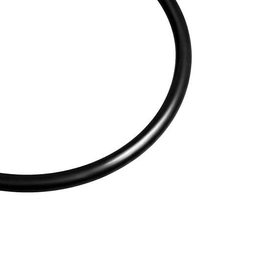 R0480200 Lid O-Ring for Jandy Zodiac VS FloPro and FHPF Pool Pump | Fits FHPM Series Pool and Spa Pumps, Models VSFHP085AUT VSFHP085JEP VSFHP165AUT VSFHP165JEP, With Silicone Grease 2-Pack