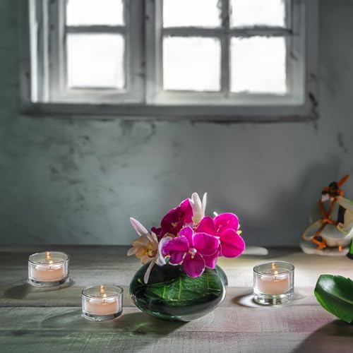 WGV Tea Light Votive Candle Holder 2x1.2 H, Clear Stubby Utility Cylinder Glass, Small Home Accent Decor, 6 Pieces by WGVInternational-OpusGlassware