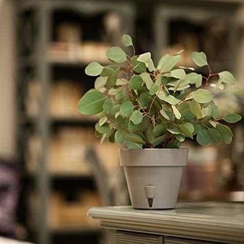 DECOPOTS - Pack of 3 - Self Watering Planter - Height 6.9 inches - Flower Pot with Bottom Watering Level Indicator for All House Plants, Flowers, Herbs (Diameter 7.9", Terracotta)