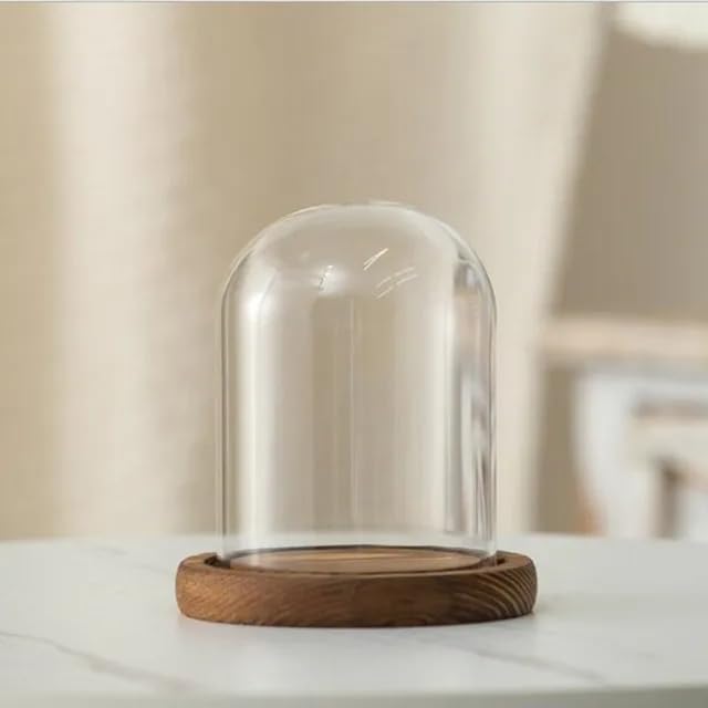 12 * 16cm Big Size Antique Base Different Top Glass Dome Vase Home Decoration Transparent Candle Cover Wedding Friend Favor Gift (1set Round Dome Base) by BDMYFNSENERETY