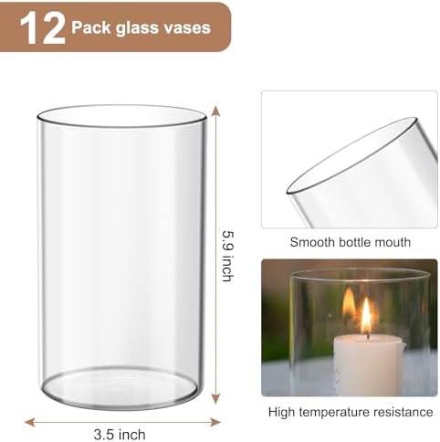 Devilfire 12Pcs Glass Cylinder vases for Centerpieces, 6 Inches Tall Flower Vases Wedding Decorations,Bulk Cylinder Flower& Plant Vases,Hurricane Candle Holder for Table Shelf, Party. - Image 2