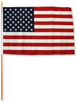 USA Stick Flags - One dozen stick flags - 12" x 18" Hand Held American Stick Flags For Parades, Events, Protests, Elections, Home Decor