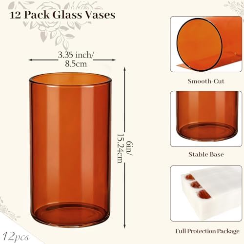 TBWIND 12pcs 6 Inch Amber Glass Cylinder Vases for Centerpieces - Image 2