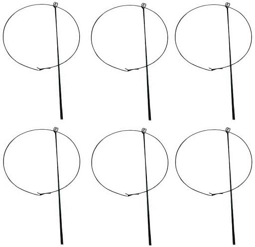 14" Wide x 24" Tall Single Ring Green Peony Hoop Plant Supports (6)