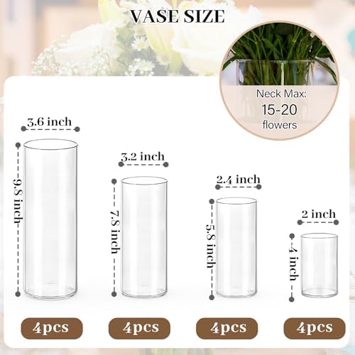 16 PCS Clear Cylinder Vases for Centerpieces - 4, 6, 8,10 Inch Tall - Image 4