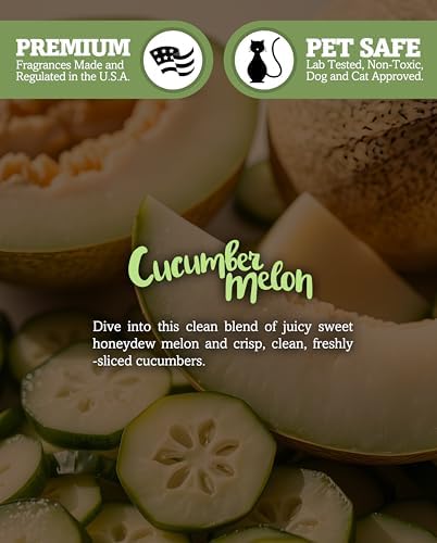Cucumber Melon Soy Votive Candles - Scented with Natural Fragrance Oils - 6 Green Natural Votive Candle Refills - Fresh & Clean Collection - Image 5