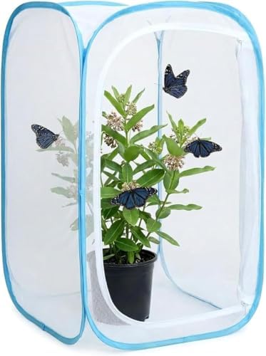 Insect & Butterfly Habitat Cage, Portable Pop-Up Terrarium with Mesh Sides, Bug Catching & Observation Enclosure for Caterpillars, Small Insects, Outdoor & Classroom Use, 24 Inches Tall - Image 7