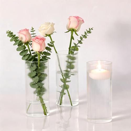 8 Inch Clear Glass Ribbed Cylinder Vases for Centerpieces, Pack of 3 by TripodBird
