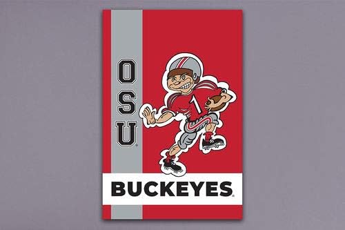 Magnolia Lane Collegiate Garden Flag (Ohio State Retro)